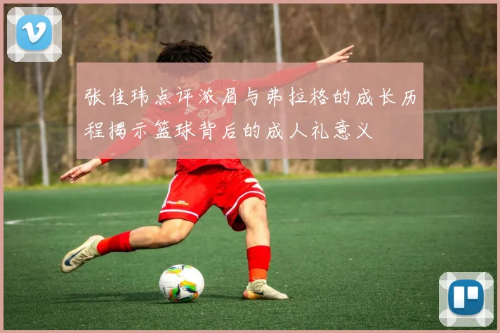 张佳玮点评浓眉与弗拉格的成长历程揭示篮球背后的成人礼意义
